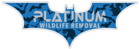 Animal Removal Putnam County