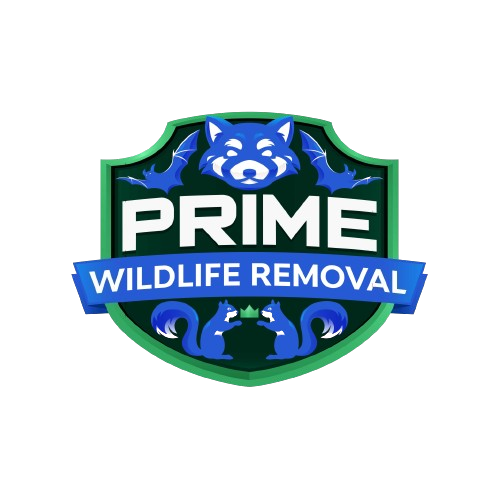 Animal Removal Putnam County